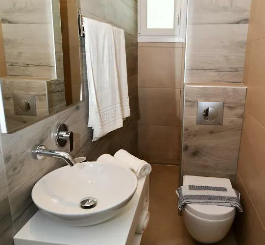 公寓式酒店 伊拉克利斯酒店 3*